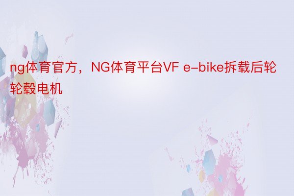 ng体育官方，NG体育平台VF e-bike拆载后轮轮毂电机